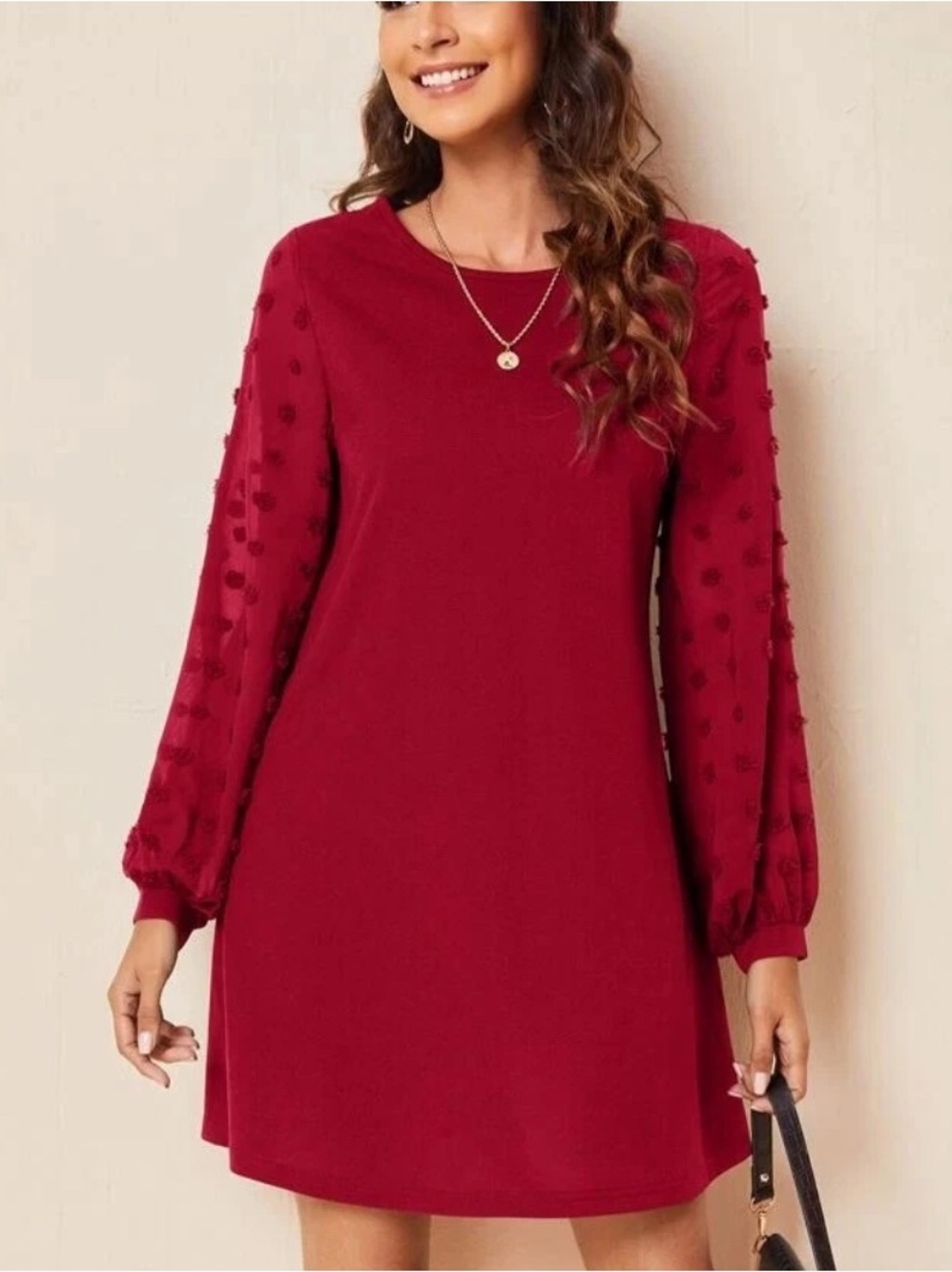 SHEIN Red Swiss Dot Mesh Sheer Long Sleeve Dress